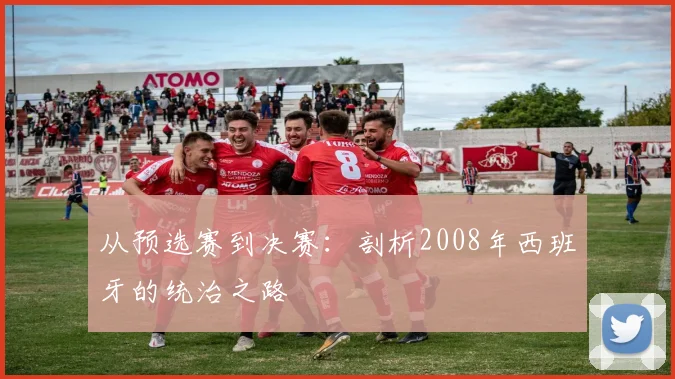 从预选赛到决赛：剖析2008年西班牙的统治之路