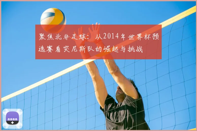 聚焦北非足球：从2014年世界杯预选赛看突尼斯队的崛起与挑战