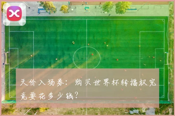 天价入场券：购买世界杯转播权究竟要花多少钱？