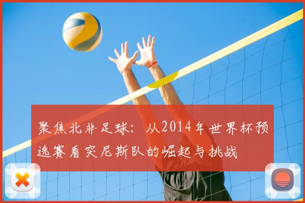 聚焦北非足球：从2014年世界杯预选赛看突尼斯队的崛起与挑战