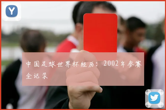 中国足球世界杯经历：2002年参赛全记录