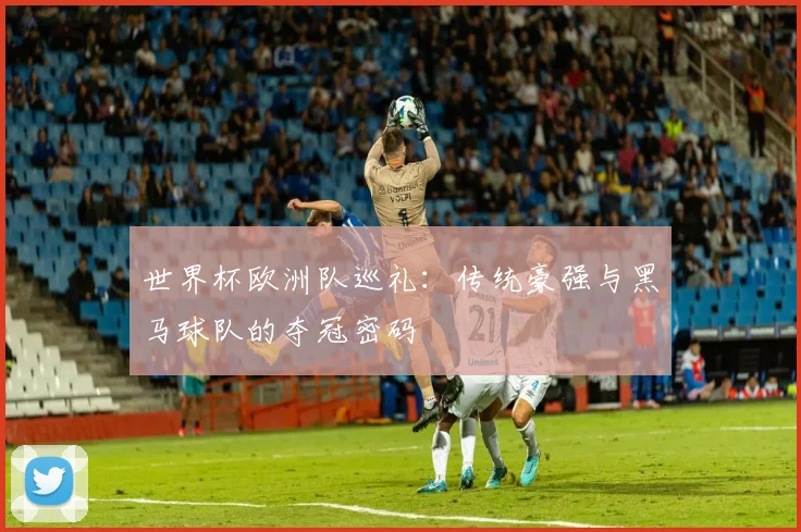 世界杯欧洲队巡礼:传统豪强与黑马球队的夺冠密码