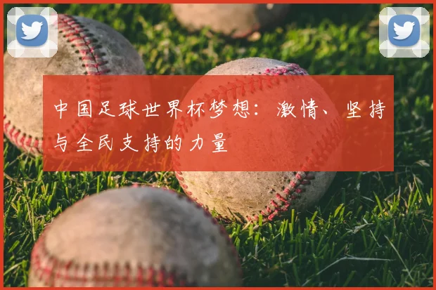 中国足球世界杯梦想：激情、坚持与全民支持的力量