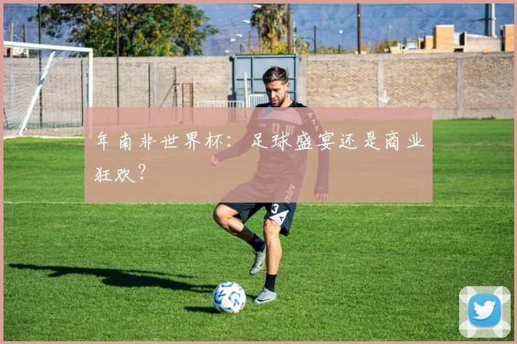 年南非世界杯:足球盛宴还是商业狂欢?