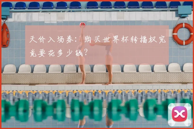 天价入场券：购买世界杯转播权究竟要花多少钱？