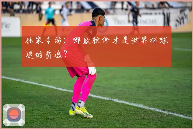 独家专访:哪款软件才是世界杯球迷的首选?