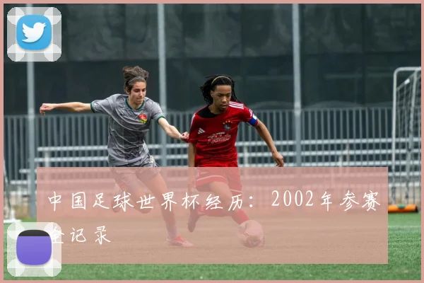 中国足球世界杯经历：2002年参赛全记录