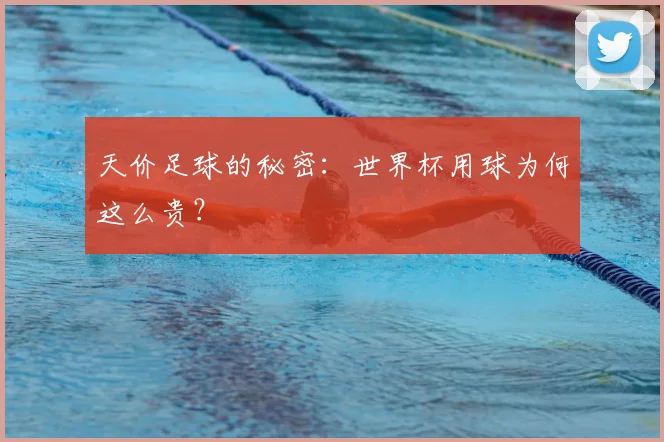天价足球的秘密：世界杯用球为何这么贵？