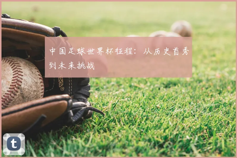 中国足球世界杯征程：从历史首秀到未来挑战