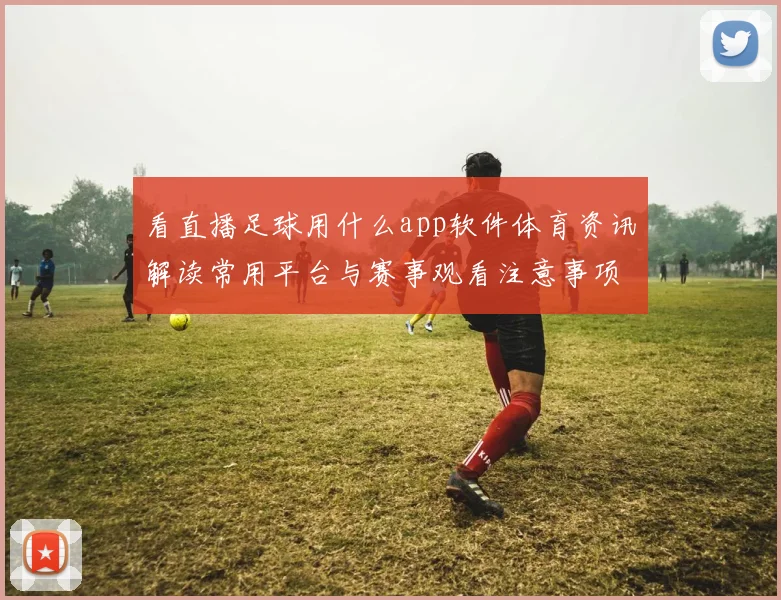 看直播足球用什么app软件体育资讯解读常用平台与赛事观看注意事项